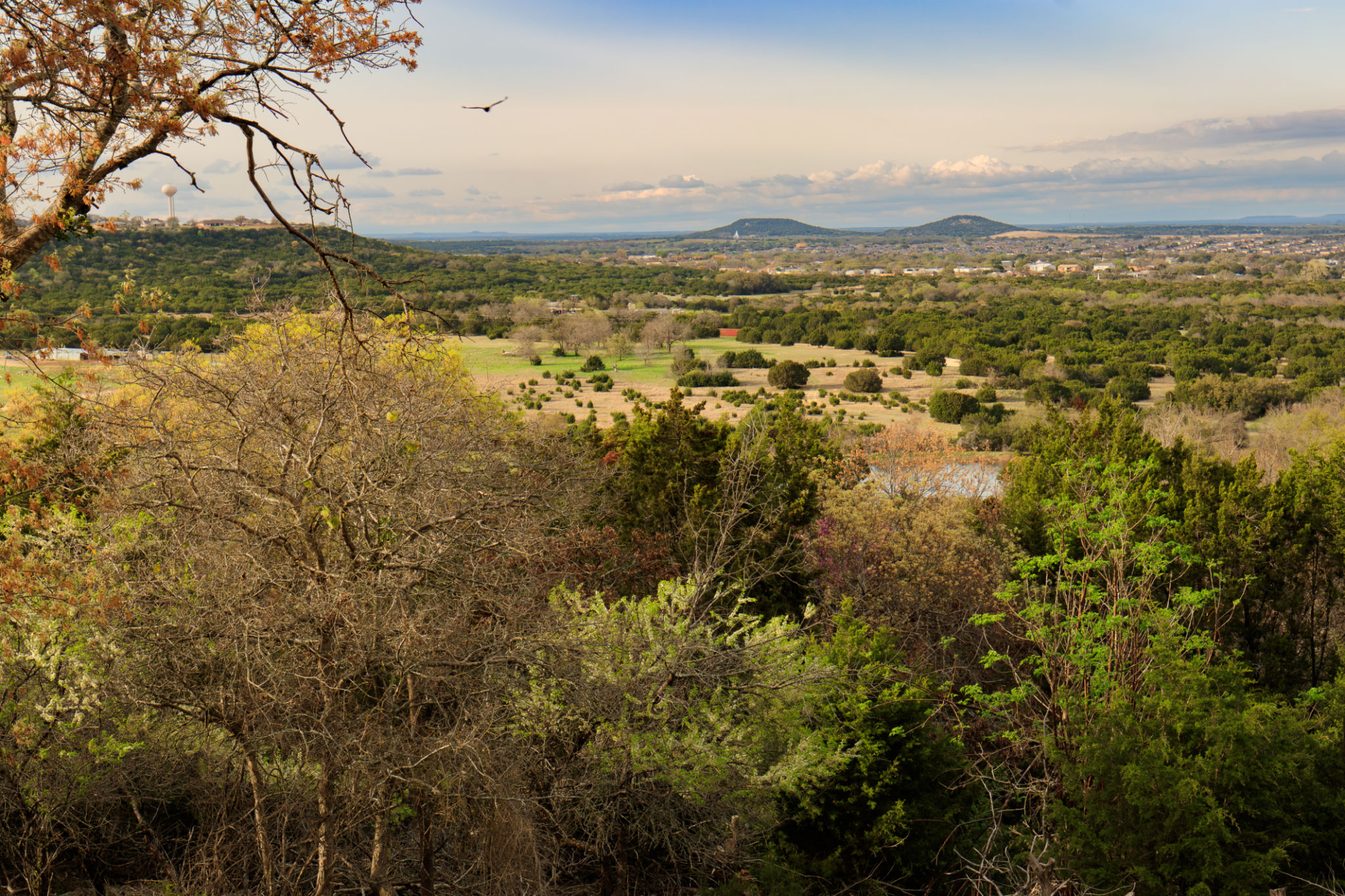 Bulverde